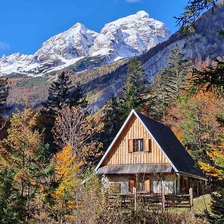 Cozy Private Cabin In The Heart Of Triglav National Park Trenta Zewnętrze zdjęcie