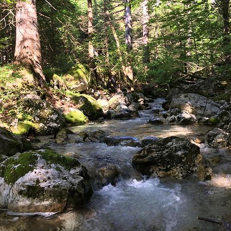 Cozy Private Cabin In The Heart Of Triglav National Park Trenta Zewnętrze zdjęcie
